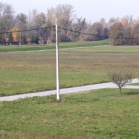 Apartmani Anna Sveti Martin Na Muri Bagian luar foto