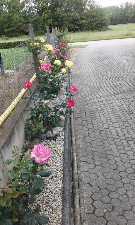 Apartmani Anna Sveti Martin Na Muri Bagian luar foto