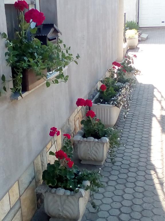Apartmani Anna Sveti Martin Na Muri Bagian luar foto